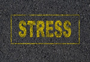 Bank-Stress-Tests